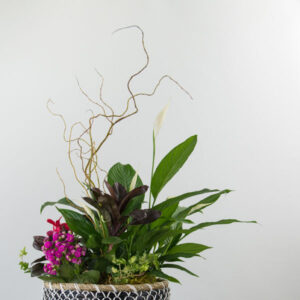 Indoor planter with peace lily, pink, and white flowers, from indoor planter available at Parksville/Qualicum Beach florist Petal and Kettle