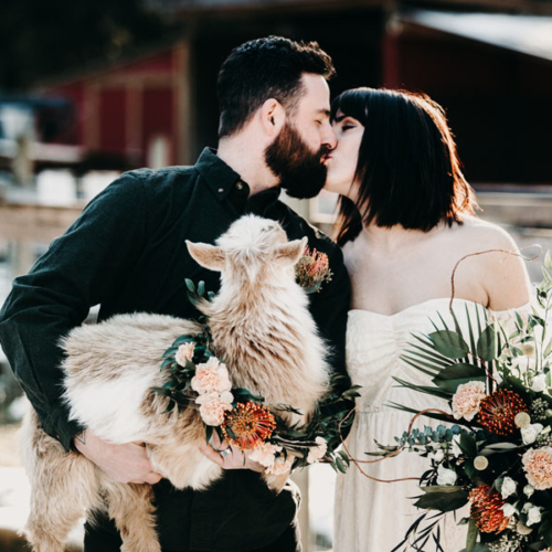 wedding couple holding goat with floral collar necklace created by Parksville wedding florist Petal and Kettle