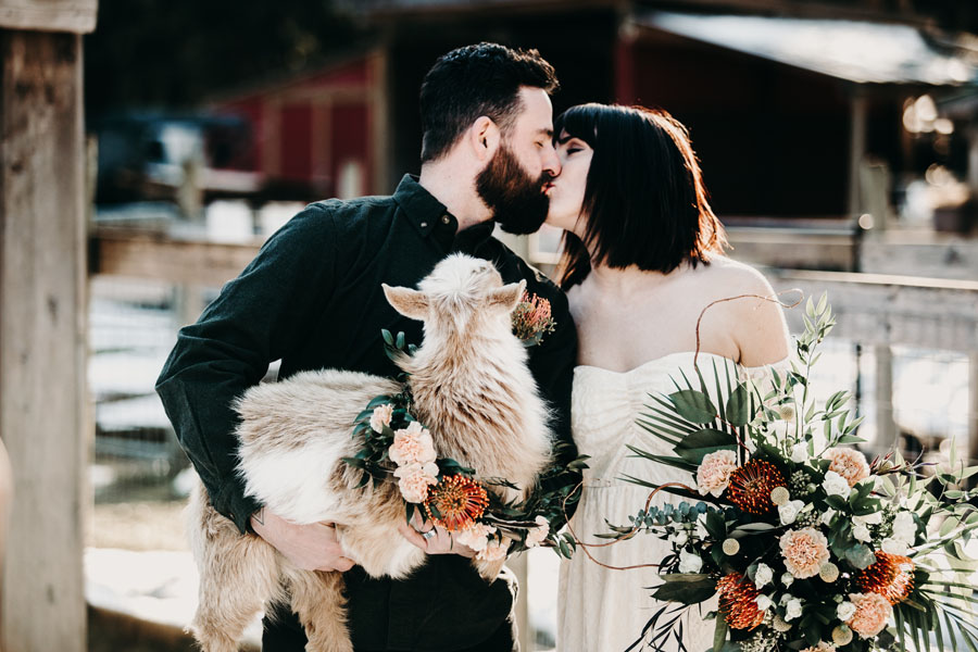 wedding couple holding goat with floral collar necklace created by Parksville wedding florist Petal and Kettle