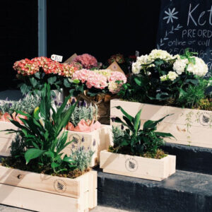 Flower & Plant Crates
