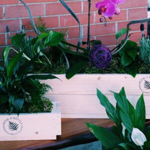 Plant crates from Petal and Kettle Parksville florist