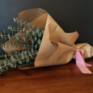 bundle of eucalyptus for home or showers sold at Petal and Kettle in Parksville Vancouver Island