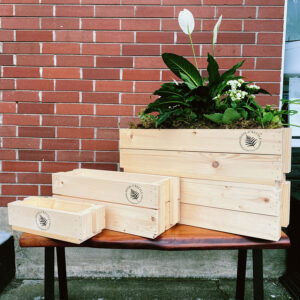 plant crates made in Parksville by florist Petal + Kettle