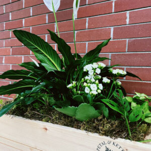large plant crates with white peace lily made in Parksville by florist Petal + Kettle