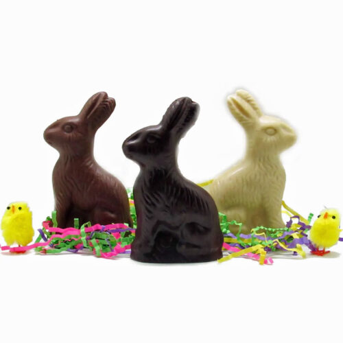 high quality vegan or dark chocolate easter bunnies sold in parksville at petal and kettle florist