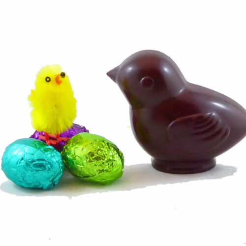 chocolate easter chick, sold in Parksville at Petal and Kettle