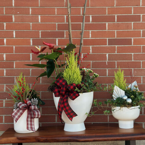 three festive holiday planters, delivered by Parksville Florist Petal and Kettle