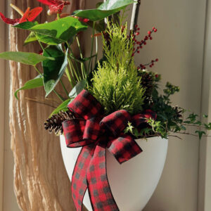 Festive Holiday Planter, made by Parksville florist Petal and Kettle