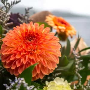 Autumn Mist fall flower bouquet by Qualicum Beach florist Petal and Kettle